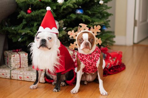 kerstdiner-86a3ce69-7e06-4b50-8399-d16eb2e2aa15