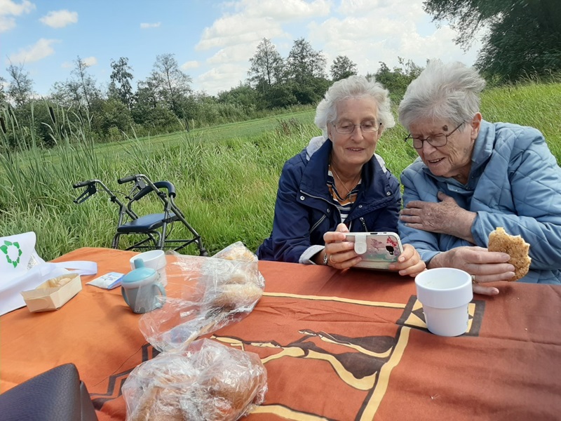 zonnebloem-zomer-picknick-6f361115-8d6b-4d0f-abaa-0df4966b51c8