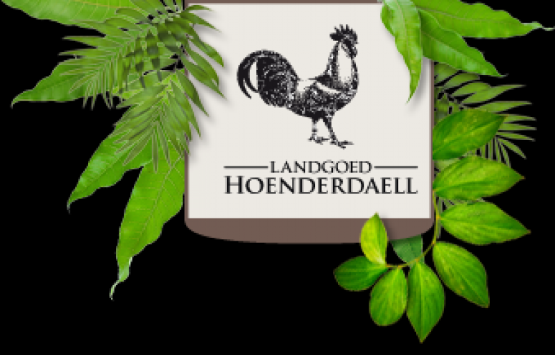 naar-landgoed-hoenderdaell-geannuleerd-4588d1d3-b814-4afc-9005-22f205d806b2