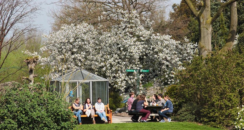 naar-de-botanische-tuin-in-utrecht-bdc0476d-7582-4b4e-b304-4e51caaf7de6