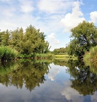 biesbosch-61e1c607-6d06-42d2-a500-86d074368182