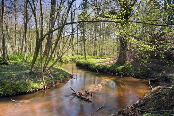 wandelen-in-het-leudal-8ee956ab-bad3-4b20-8c6b-12d806e0844f