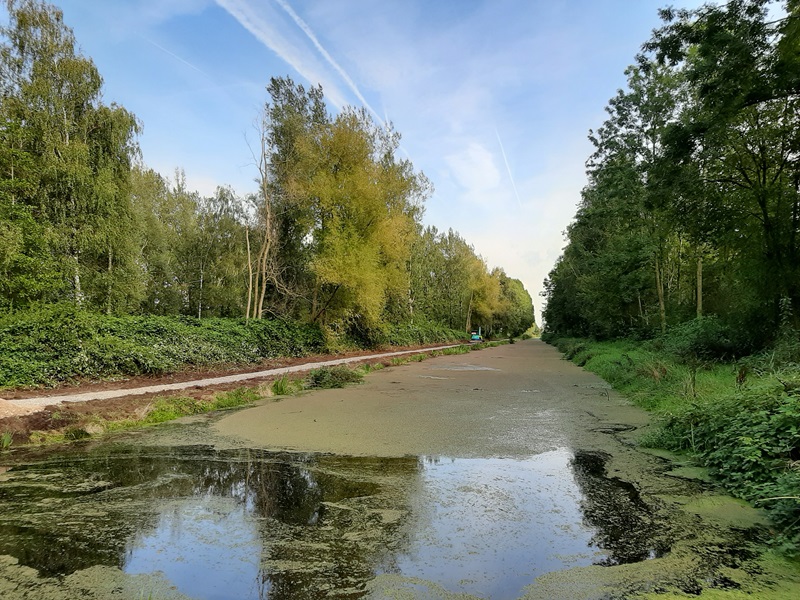 de-zonnebloem-gaat-naar-de-tuinen-234a14c4-ce55-4707-96e7-69a28fe88dfe