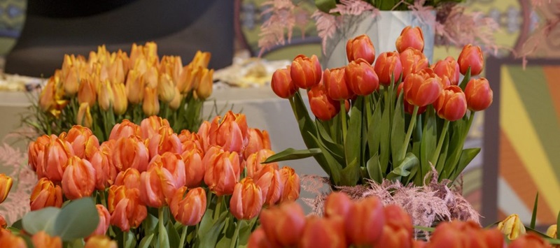 keukenhof-d8f7d9bc-0c66-490c-887b-6ad1d35bf64a