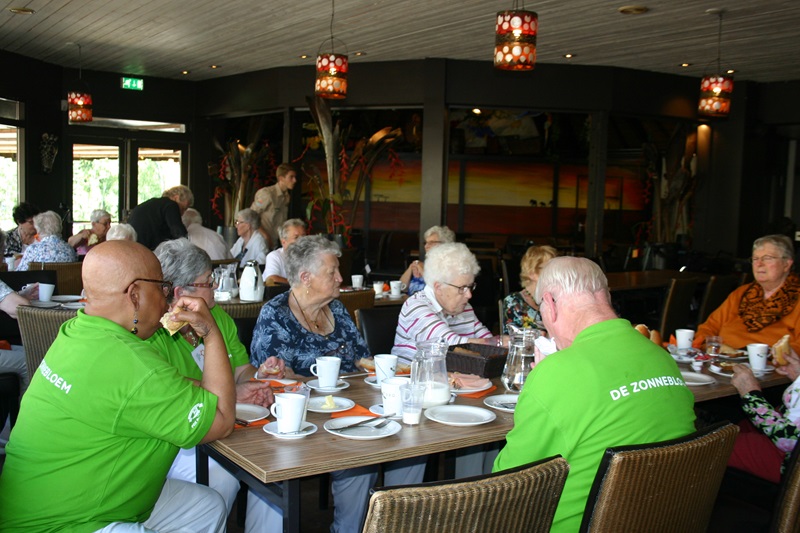 beekse-bergen-eebbe9fb-f367-4115-acd7-082100244d4a