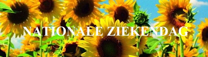 nationale-ziekendag-4ab8e58a-9d9c-4b6a-be7b-fe7d999b54d3