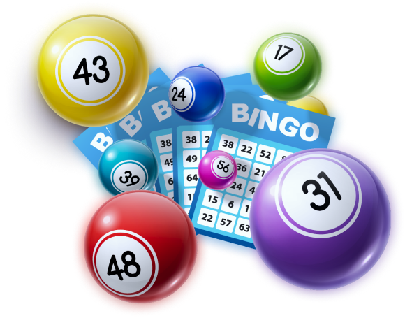 bingo-eb6cf3f6-3d56-4875-85e7-ada748c46755