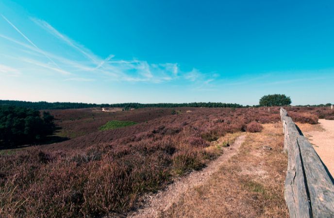 voorlopig-uitgesteld-rondrit-over-de-posbank-veluwe-86a87c47-c4dc-4623-8970-0cba9ffd43cf