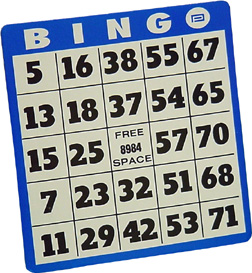 bingo-3a30c1a5-c109-4a21-b03f-e84df4a79b1e