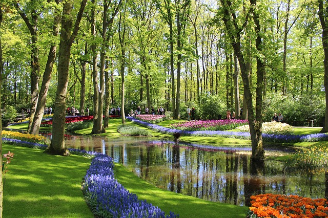 naar-de-keukenhof-8667aa8e-49b1-4143-af40-c60f5d38db41