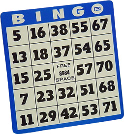 bingo-19c519a7-cbe9-40d9-a550-385ff80df794