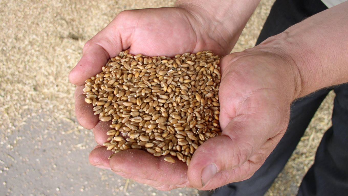 Foodblog over gluten met een handicap