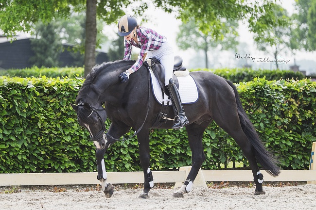 Estée Gerritsen en haar paard Onassys