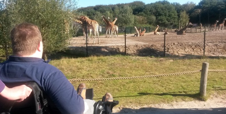 Beekse Bergen met hulphond Olga en Danoesja op safari