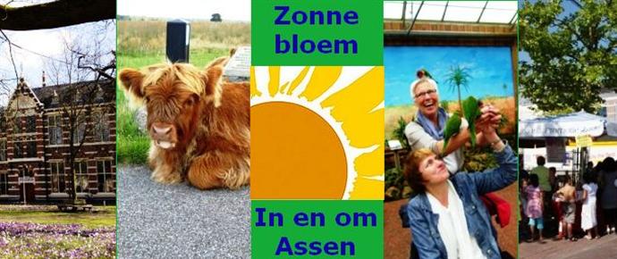 Zonnebloem afdelingswebsite