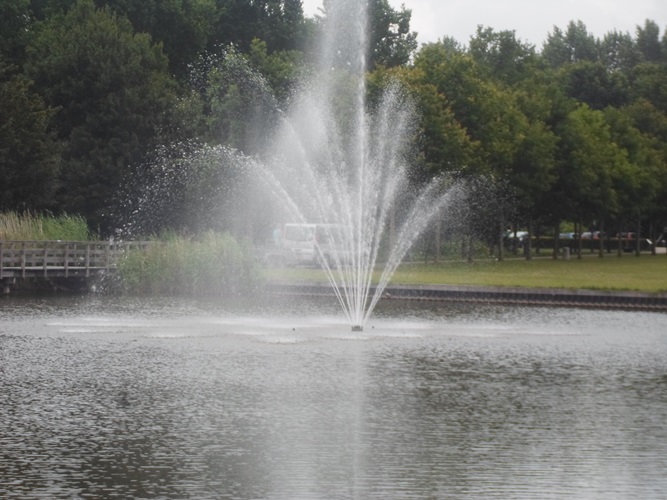 Zonnebloem afdeling