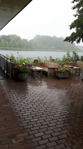 Zonnebloem afdeling