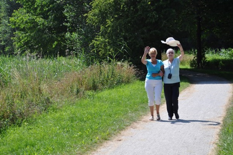 Zonnebloem afdeling