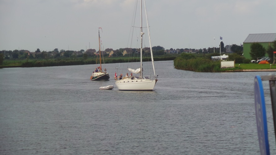 Zonnebloem afdeling