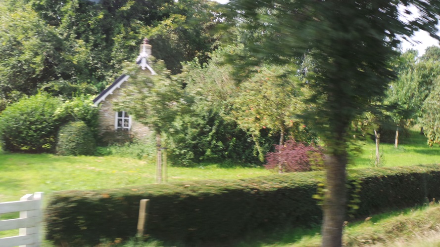 Zonnebloem afdeling