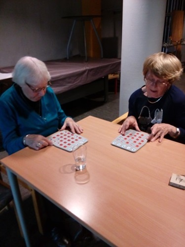 Zonnebloem afdeling