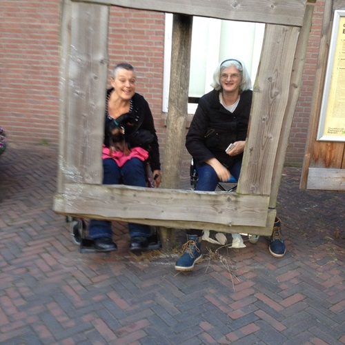 Zonnebloem afdeling