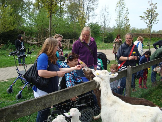 Zonnebloem afdeling
