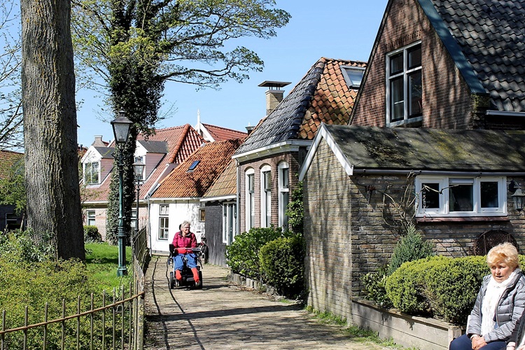 Zonnebloem afdeling