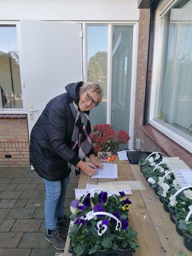 Wel de goede kleuren pakken hoor.