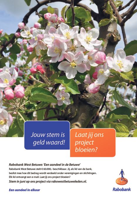 Zonnebloem afdelingsnieuws