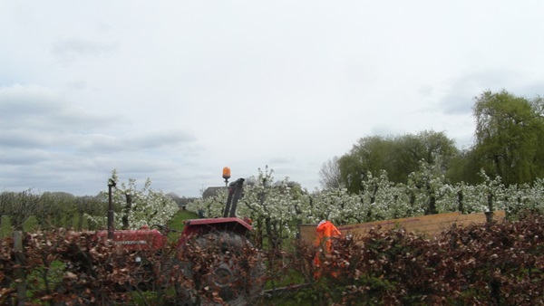 Zonnebloem afdeling