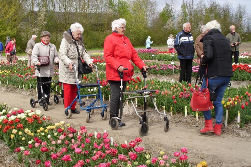 Zonnebloem afdeling