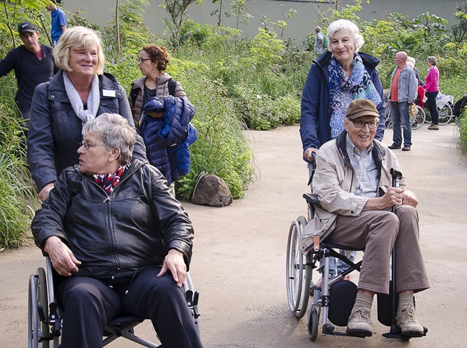 Zonnebloem afdeling