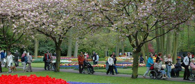 Zonnebloem afdelingswebsite