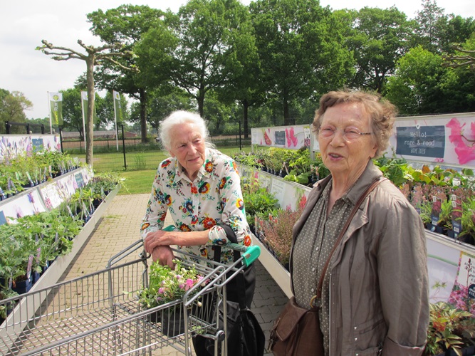 Zonnebloem afdeling