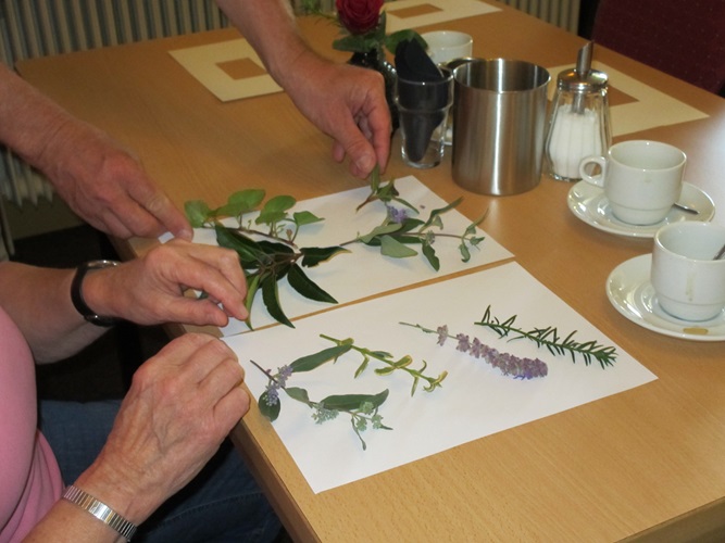 Zonnebloem afdeling