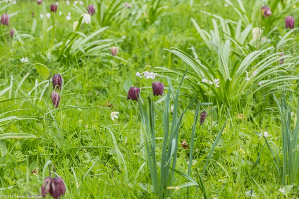 Zonnebloem afdelingsnieuws