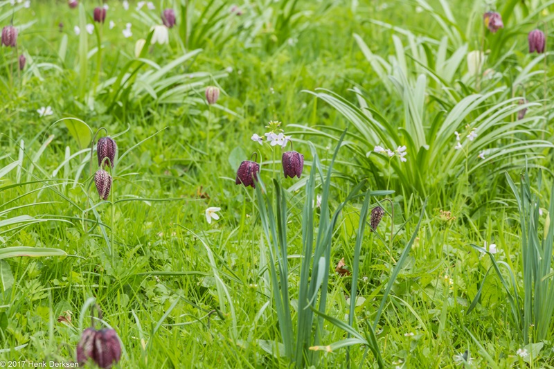 Zonnebloem afdelingsnieuws