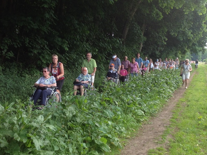 Zonnebloem afdeling