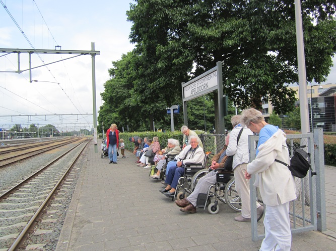 Zonnebloem afdeling