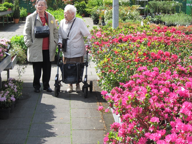 Zonnebloem afdeling