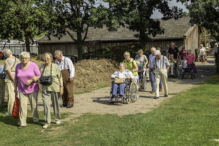 Zonnebloem afdeling