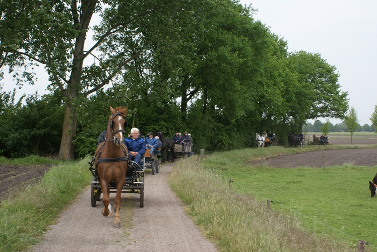 Zonnebloem afdeling