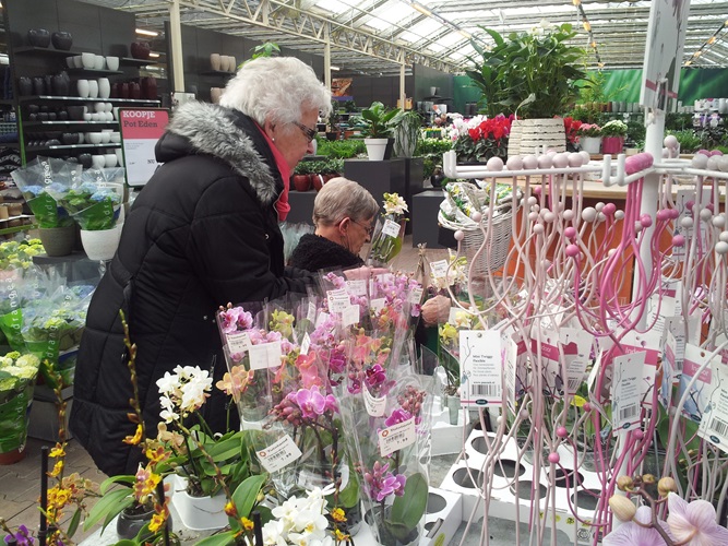 Zonnebloem afdeling