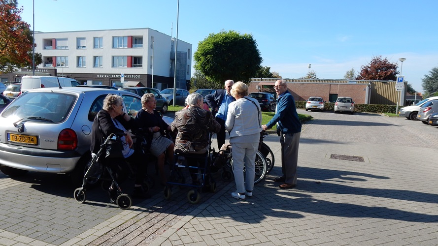Zonnebloem afdeling