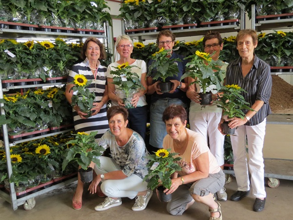 Zonnebloem afdelingsnieuws