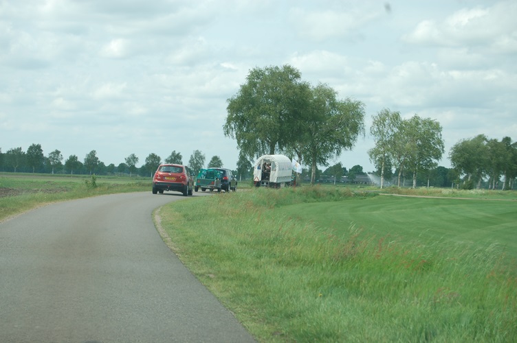 Zonnebloem afdeling