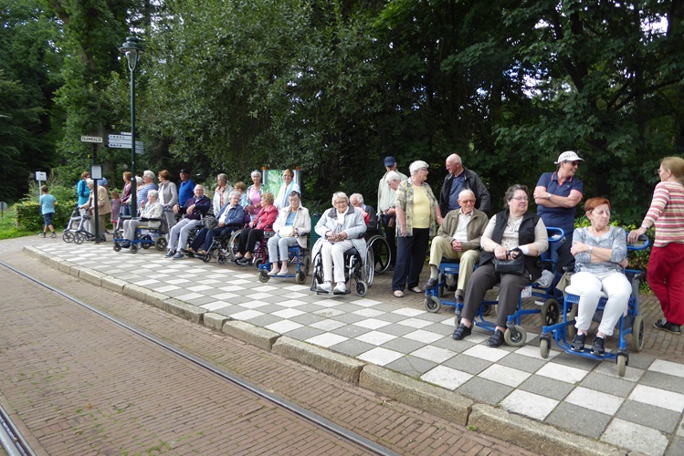 Zonnebloem afdeling