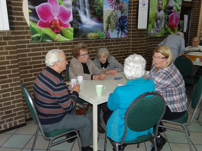 Zonnebloem afdeling