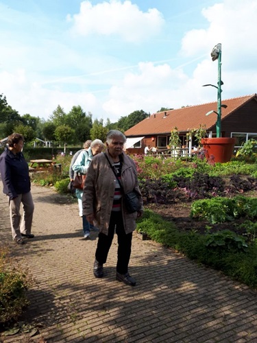 Zonnebloem afdeling